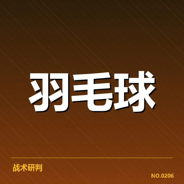 主要战术策略：双向覆盖与变换
